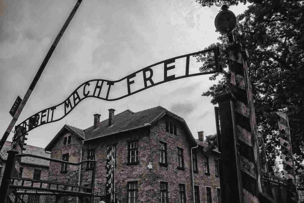 Shoah e Giorno della Memoria: L’importanza del Ricordo. Il valore della Memoria: riflessioni sul 27 Gennaio. 27 Gennaio: una Giornata per non Dimenticare la Shoah. 
