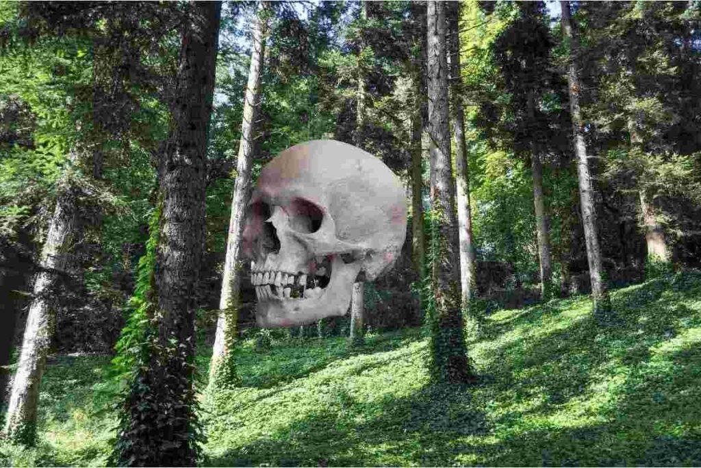 Pezzolo Valle Uzzone: cacciatori trovano un teschio umano nel bosco. Da una battuta di caccia al mistero: scoperto un teschio umano.