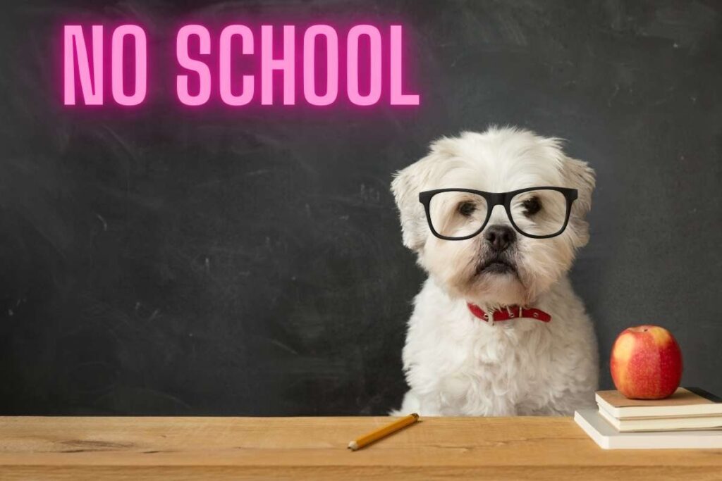 Come ridurre l'abbandono scolastico in Italia. Strategie per contrastare la dispersione scolastica. L’istruzione in Italia: una sfida ancora aperta. Il ruolo delle istituzioni nel contrasto alla dispersione scolastica.