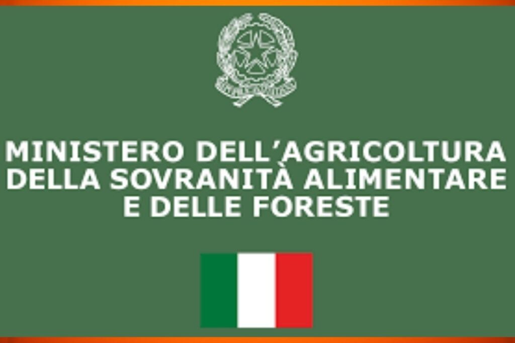 4,8 milioni per innovare le cantine del Piemonte. Migliorare l'accoglienza nelle cantine piemontesi: ecco il bando. Un aiuto concreto alle aziende vitivinicole piemontesi. 