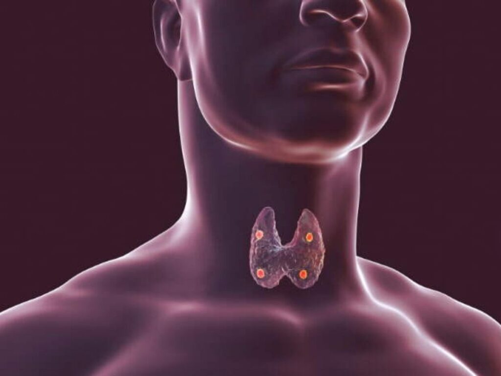 Endocrinologia: finalmente una cura su misura. Addio ai soli surrogati: ora c’è il farmaco giusto. Meno rischi e più efficacia con la nuova terapia. 