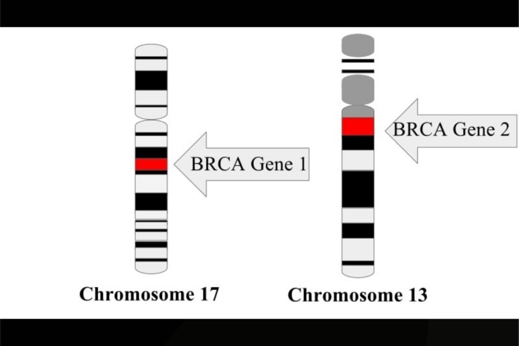 Geni Jolie: un’eredità genetica che può salvare vite. Brca1 e Brca2: la prevenzione inizia con la consapevolezza. Milano rilancia la campagna di informazione sui tumori ereditari.